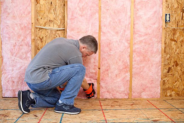 Best Insulation Replacement Services  in Tappan, NY